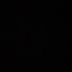 Meet your Posher, Josie